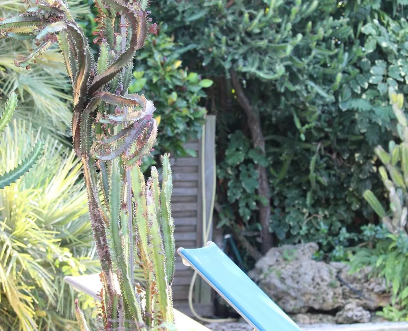 別荘 Les Jardins De Lakoule - Villa Orchidee -100M De La Plage サン・フランソワ