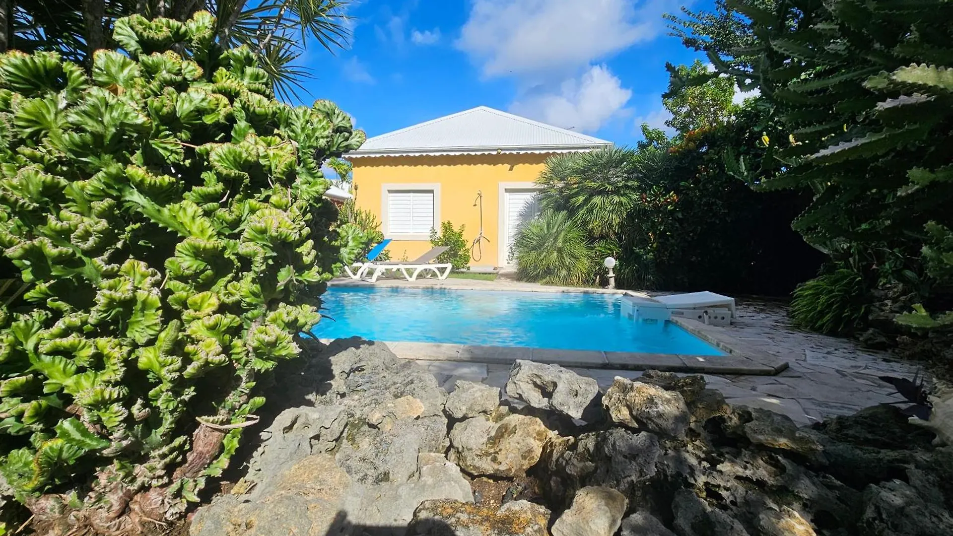Les Jardins De Lakoule - Villa Orchidee -100M De La Plage サン・フランソワ 0*,